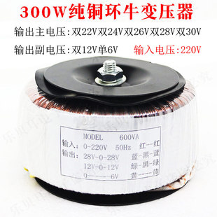 220v׃�����hţ�����h��300w���Ÿ��x���řC�h���o������Դ