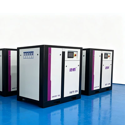 Air Compressor Permanent Magnet Hava kompressorları