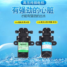✅农用电动喷雾器水泵隔膜泵12v高压泵 纯铜水泵电动泵厂家供应批