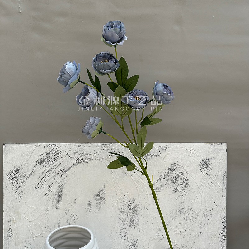 Haze blue exquisite peony