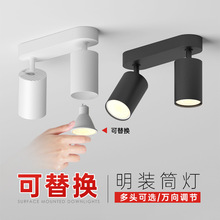 明装多头射灯led可调角度家用双头吸顶射灯走廊过道灯客厅无主灯