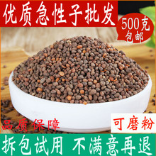 �����ӵ���P�ɻ��ӽ��P���Ӽ����ѷ�500�˰��]��؛��؛