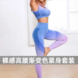 健身裤体操运动套装渐变色紧身裤无缝冰丝裸感瑜伽服高腰蜜桃提臀