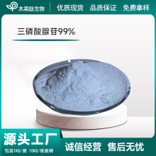 三磷酸腺苷99%  厂家供应  ATP食品级 腺嘌呤核苷三磷酸 100g/袋