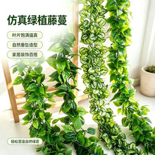 仿真藤条假树叶装饰藤蔓爬山虎绿植吊顶过胶花藤葡萄叶绿萝常春藤