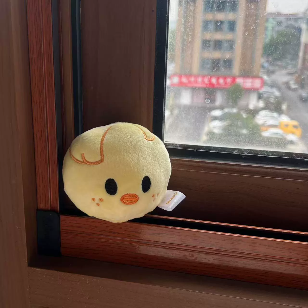 ae6b57dc3bcbb556e498ad5d664f20