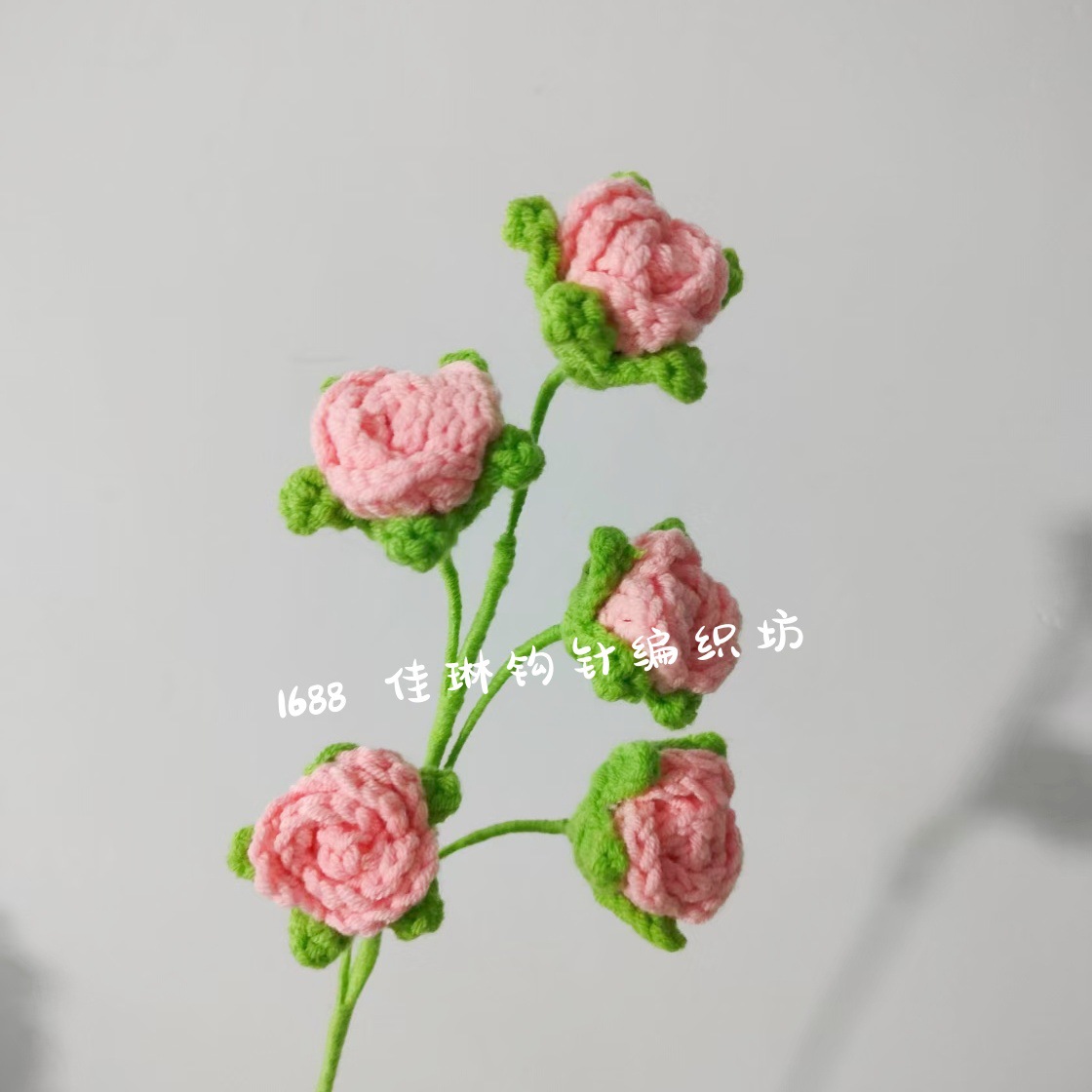 버블로즈 5송이~코리안핑크