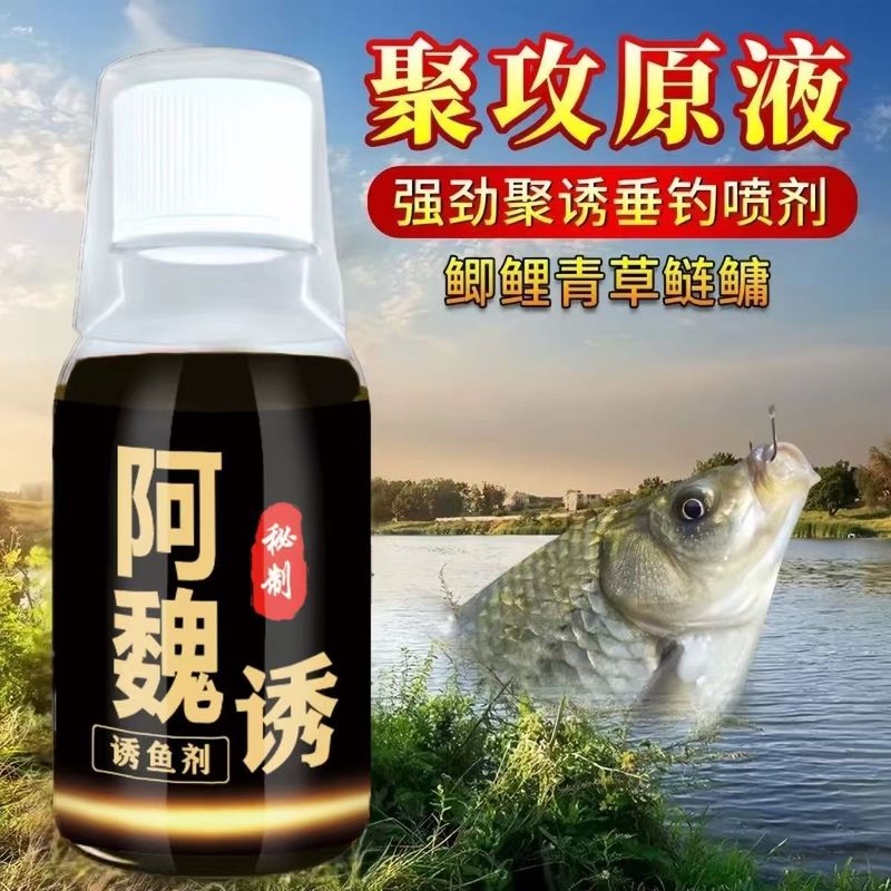 魚の味の王のメーカーは直接販売します。|undefined