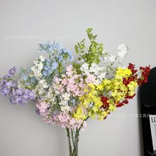 ������滨С���M�����黨�hѩ���ܻ�c��Y�Ƶ���ܛ�b���Q