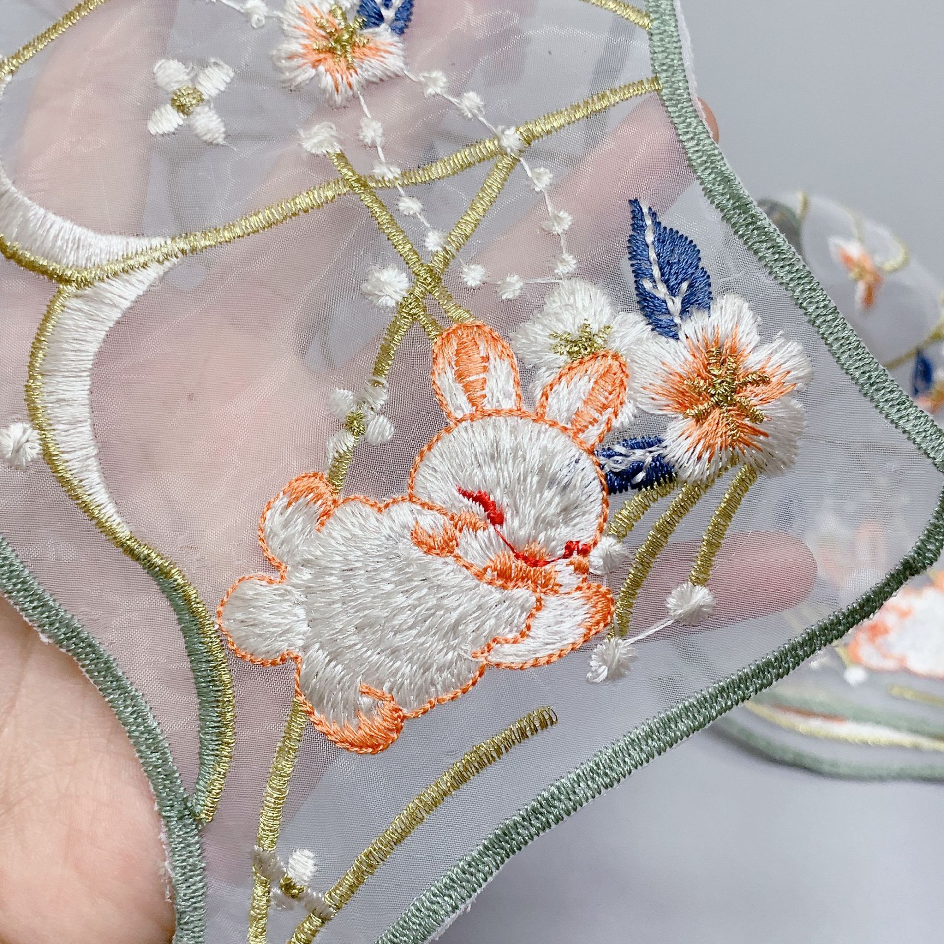 IMG_4761(20231018-130035)