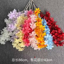 Sl滨hѩ92ƬcĻ·bɻܽ