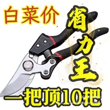 ʡ������䓼�����ӹ������֦�������û�ľ怸���֦�޼�@ˇ
