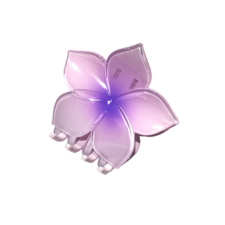 国境を越えたアマゾンの卵の花がグラデーションの花のキャンディー色の紫荊花の後頭部をつかんでサメの花を挟んで髪を伸ばします。|undefined