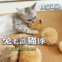猫玩具猫薄荷兔毛球逗猫棒虫瘿果耐抓咬自嗨解闷消耗体力宠物用