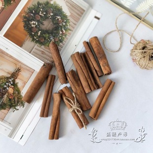 ��Ƥ�������}�Q���b�Ʒ�ɘ�֦���h��޹Ϟ�T��������