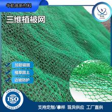 �G���o��ֲ���W����߅��ֲ�ݷ�ֹˮ����ʧ����������S�����W�|