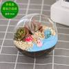 Materials set, nail decoration, jewelry, plant lamp, 12cm, micro landscape, handmade