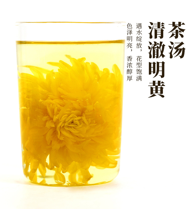 金丝皇菊(5)_09