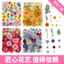 �ŷ����ɻ�diy���ϰ��ֹ��滨����ֲ��˱��b[���������ƏS