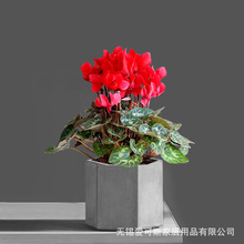 ���W����@ˇ�V������@��߅��ˮ�໨���k�����̨�Gֲ���Զ���
