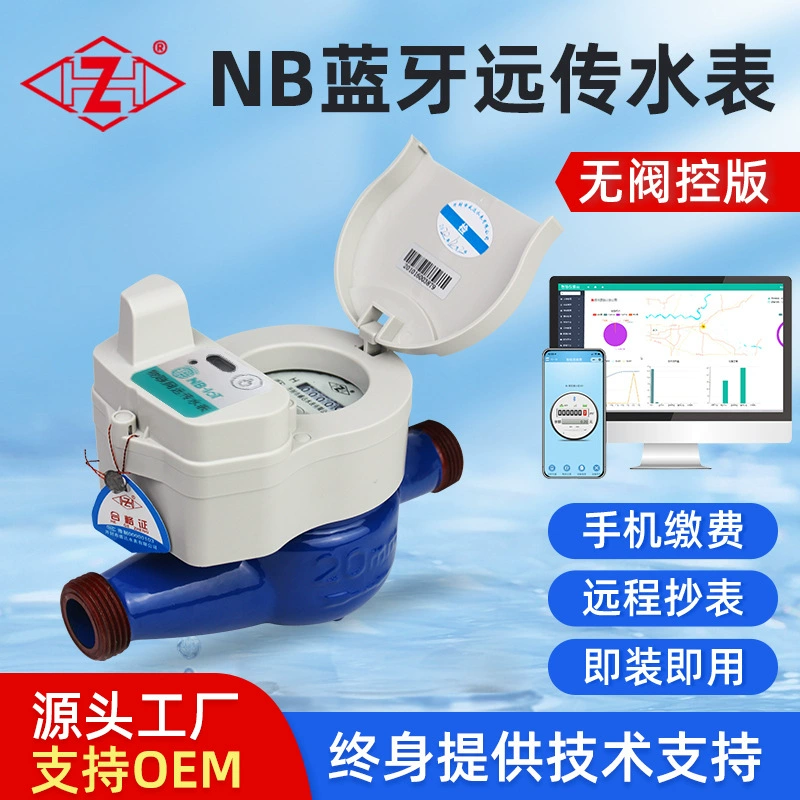 Источник производителя NB-Iot бесклапанный железный корпус интеллектуальный Bluetooth дальний счетчик воды двухканальный мобильный телефон