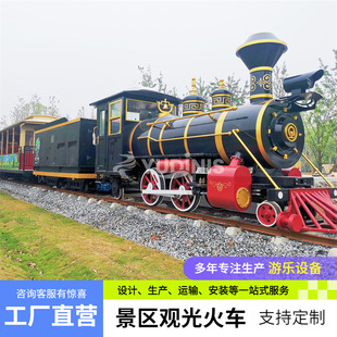 Large Fuel Track Train Resort Scenic Area Manned Sightseeing Train Disney Amusement Equipment Manufacturer