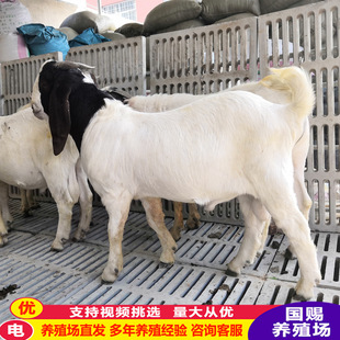 ����ɽ��������ôι�B ��ɽ�����ĸ�� ����ɽ���ɽ��