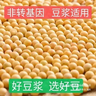 �|���r���S����؛�S���w��M �S���򶹝{�S����Ҏ����x�G��