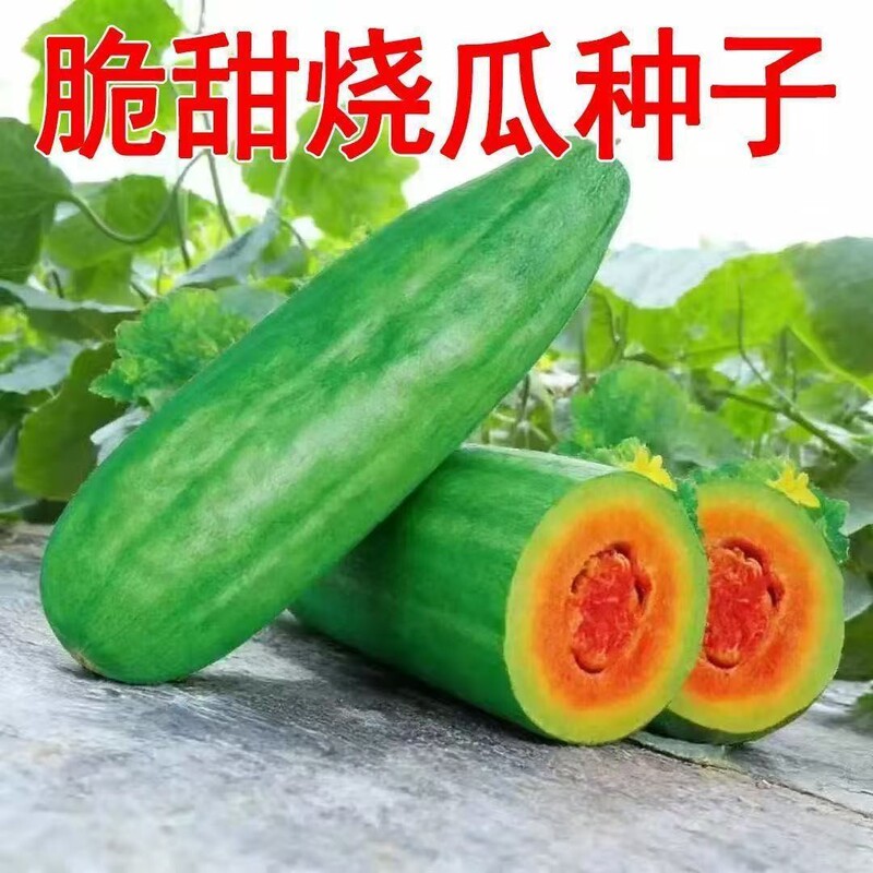Sweet and Crispy Melon Seeds, Crispy Vegetable Melon, Sweet and Crunchy Melon, Four-Season Fruit and Vegetable Seeds