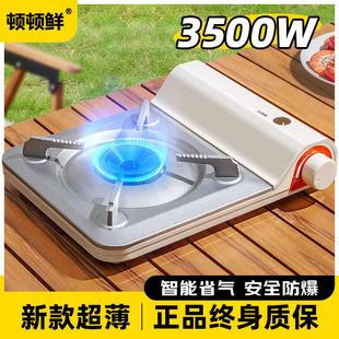 ��ʽ�t���������yʽ�t�ߴ��߿��Ż�偿�˹ȼ��tҰ��ú����¶�I