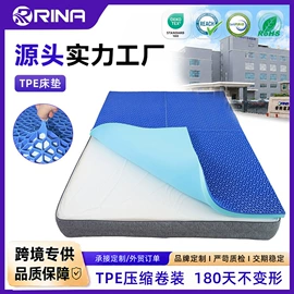 记忆枕;其他枕芯;功能枕
