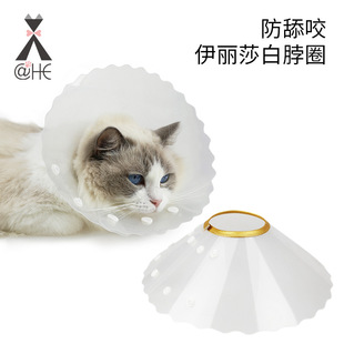 Wave-shaped golden Puskin edging pet Elizabeth collar anti-licking beauty recovery after surgery