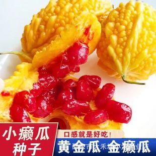 ˮ��С�]�ϷN�ӽ����ه����ه��ˮ���N���ļ��̨����ˮ���N����