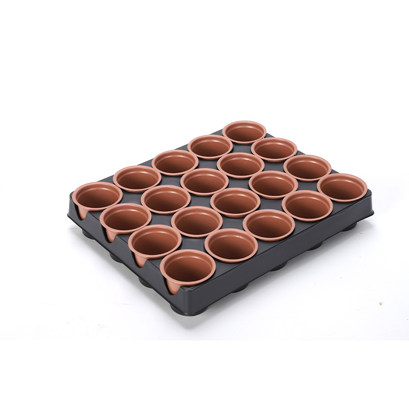 20PK育苗套装蔬菜瓜果多肉育苗盘穴盘树苗塑料秧盘