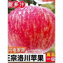 正宗陕西延安新洛川苹果一箱红富士产地直发现摘