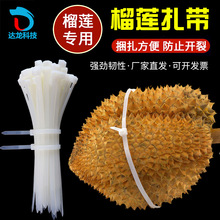 S iʽ5*650mm 4.8*650ɏl