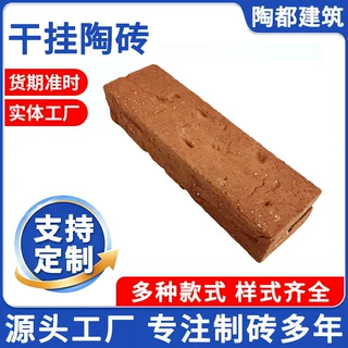 定制异型压花干挂陶砖幕墙装饰砖镶嵌式干挂外墙陶土砖幕墙系统