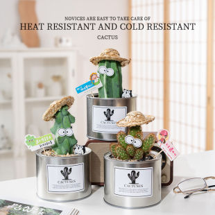 ¿ɐ۳ȶYƷֲƹILF