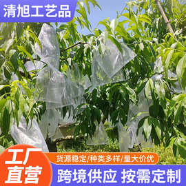 跨境批发网纱水果套袋葡萄桃子梨子果树防虫袋透气果蔬袋防鸟袋