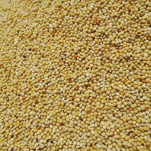 2023 Bird Food Millet Small and Medium-Sized Bird Food Parrot Black Phoenix Tiger Skin Bird Linen Neutral Shelled Yellow Millet Bird Food