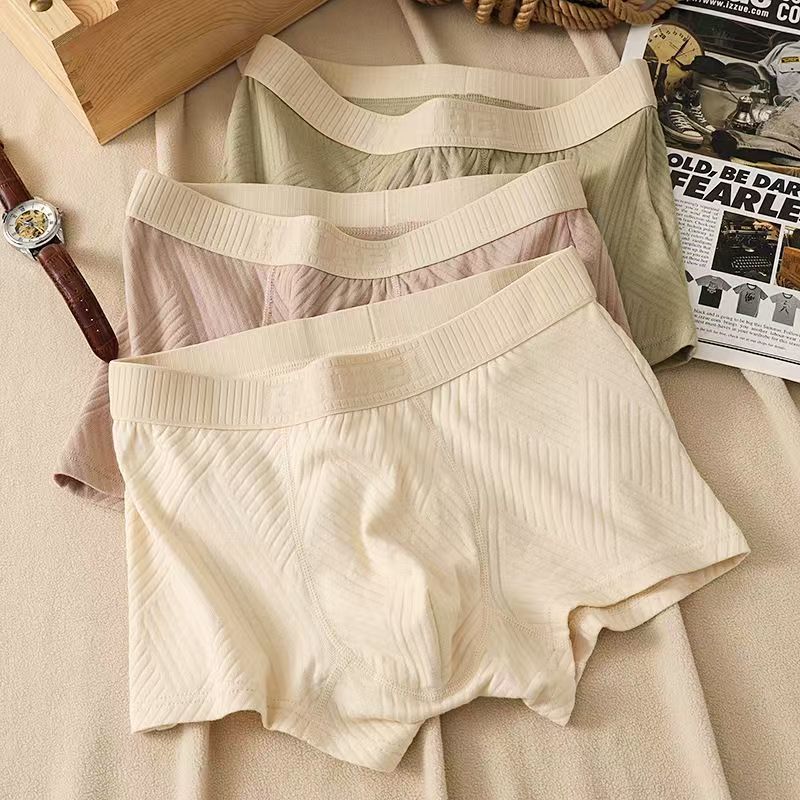 New Solid Color Texture Spring and Summer Men's Underwear Loose Boxer Briefs Breathable Cotton Mid-Waist Large Size Boxer Briefs Dropshipping