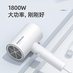 Borui Hair Dryer PH1627 High Power 1800W Non-Foldable 1628 Cold and Hot Air Student Hair Dryer