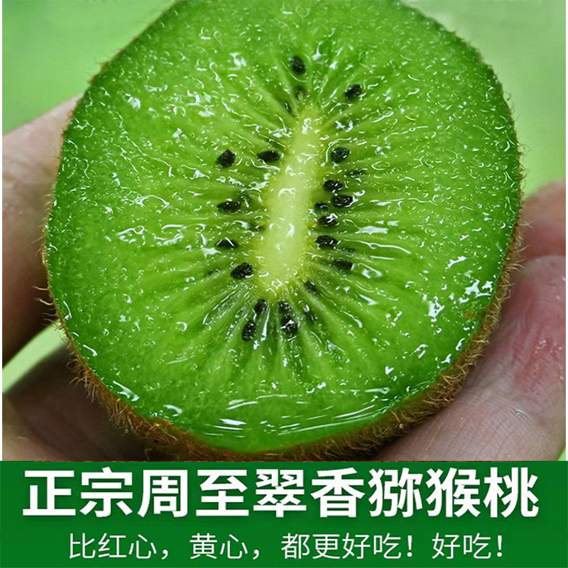 陕西猕猴桃正宗翠香猕猴桃产地直发周至猕猴桃新鲜绿心猕猴桃代发
