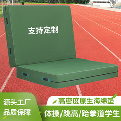 跳高垫加厚软海绵垫学校体育运动折叠空翻垫消防训练防摔保护垫子