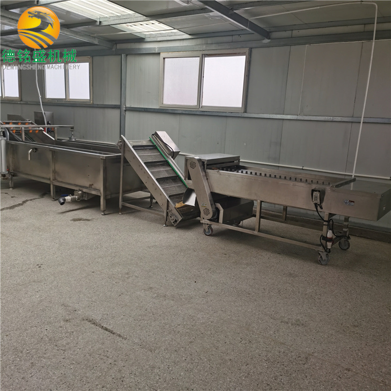 厂家免费安装鱼罐头加工设备 带鱼气泡清洗机 切割冻鱼段机器