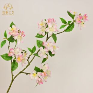 ���溣�Ļ���֦�ٻ����l�����ѻ��O�����Ҿ��bzӰ�Ƶ��b�÷���