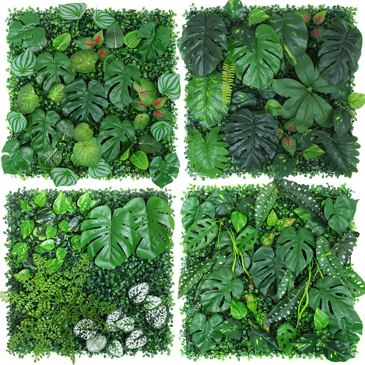 热带雨林A-2 拷贝