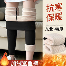 羊羔绒鲨鱼裤女秋冬季加绒加厚保暖棉裤外穿紧身瑜伽裤芭比打底裤