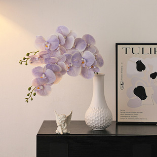 ���s�׺��մɻ�ƿɫ�Ըߜ؟��ƺ����m���滨ˇ��ɻ��ٻ��[���b�