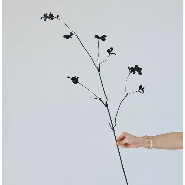 Black 3 prongs